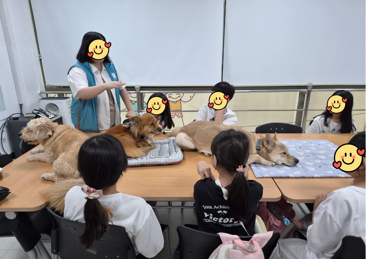 [티움교실] 광명시도시농업과와 함께하는 테라피독 1회차 이미지