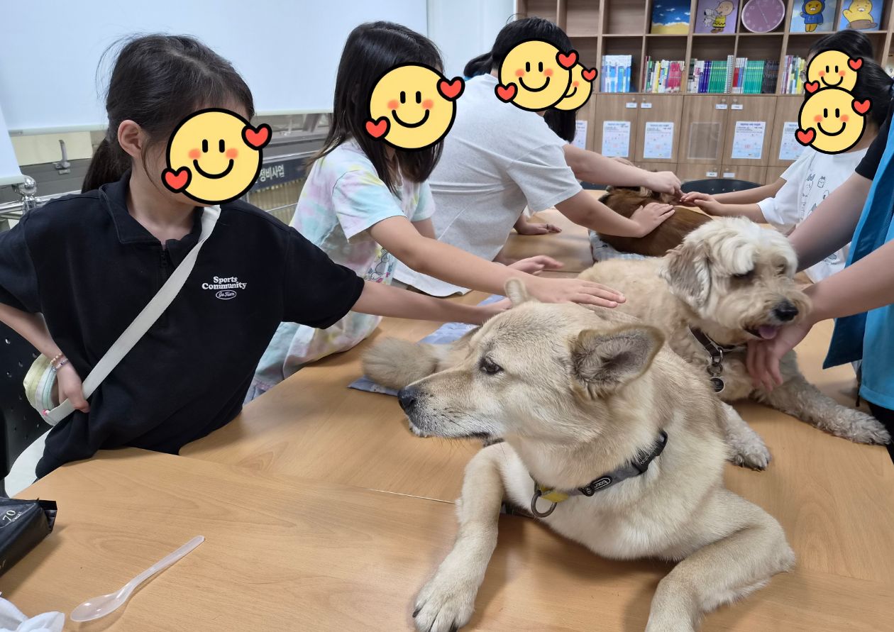 [티움교실] 광명시도시농업과와 함께하는 테라피독 1회차 이미지 2