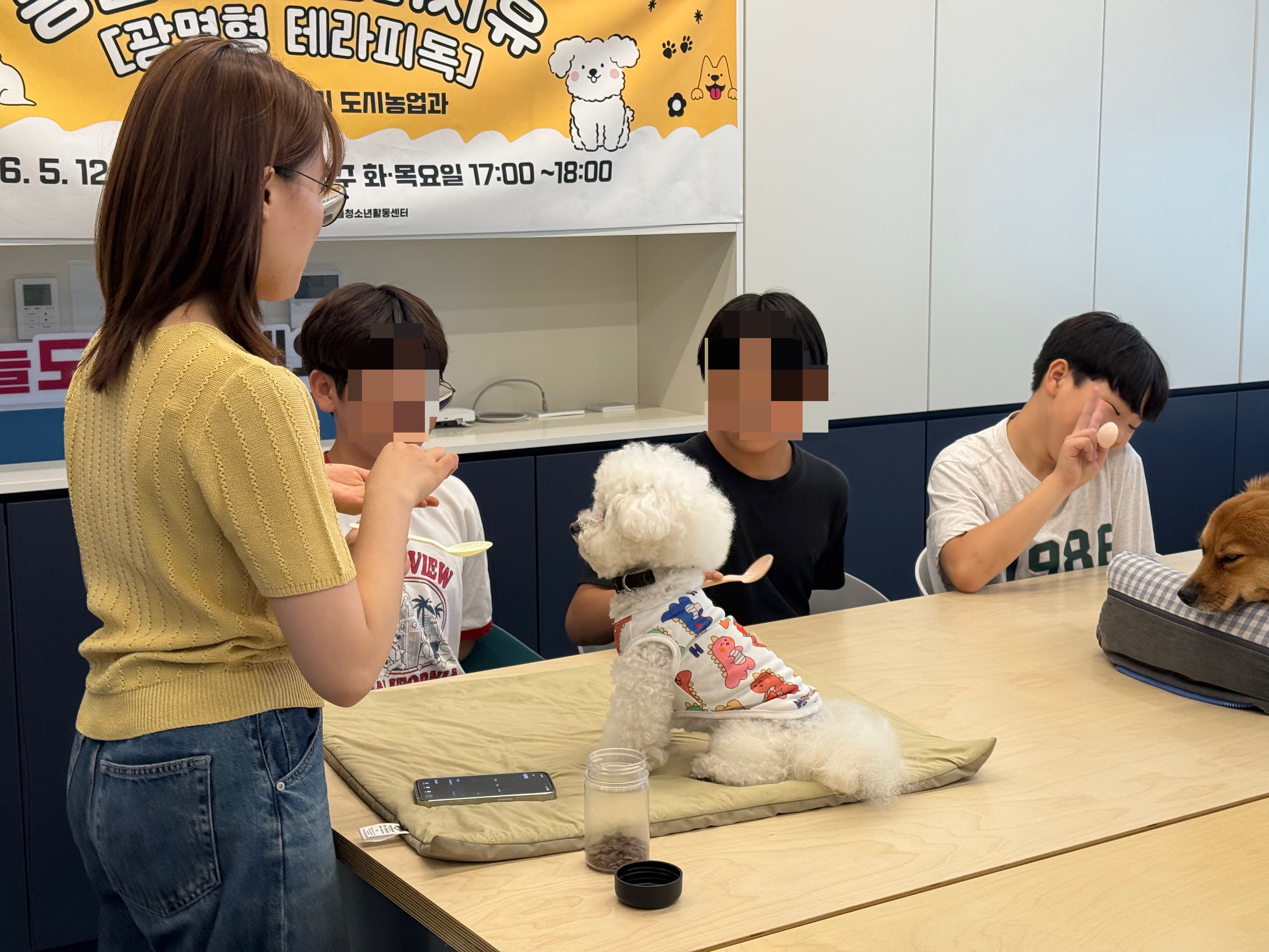 6/25(목) [광명형 테라피독] 동물교감 심리치유 프로그램 목요반 6회차 이미지