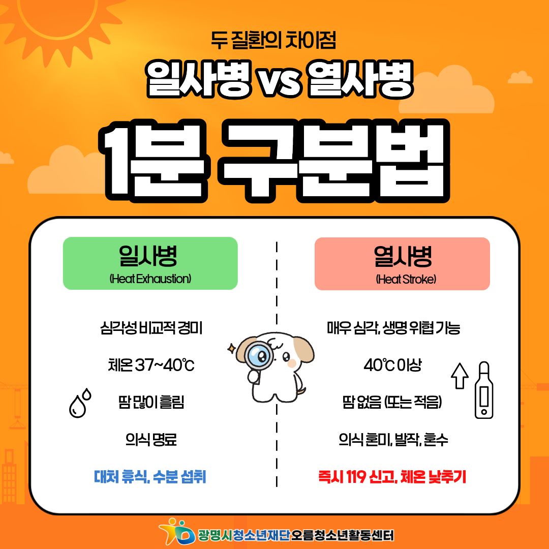 [안전교육] 뜨거운 여름, 우리 건강은 우리가 지켜요! 이미지 5