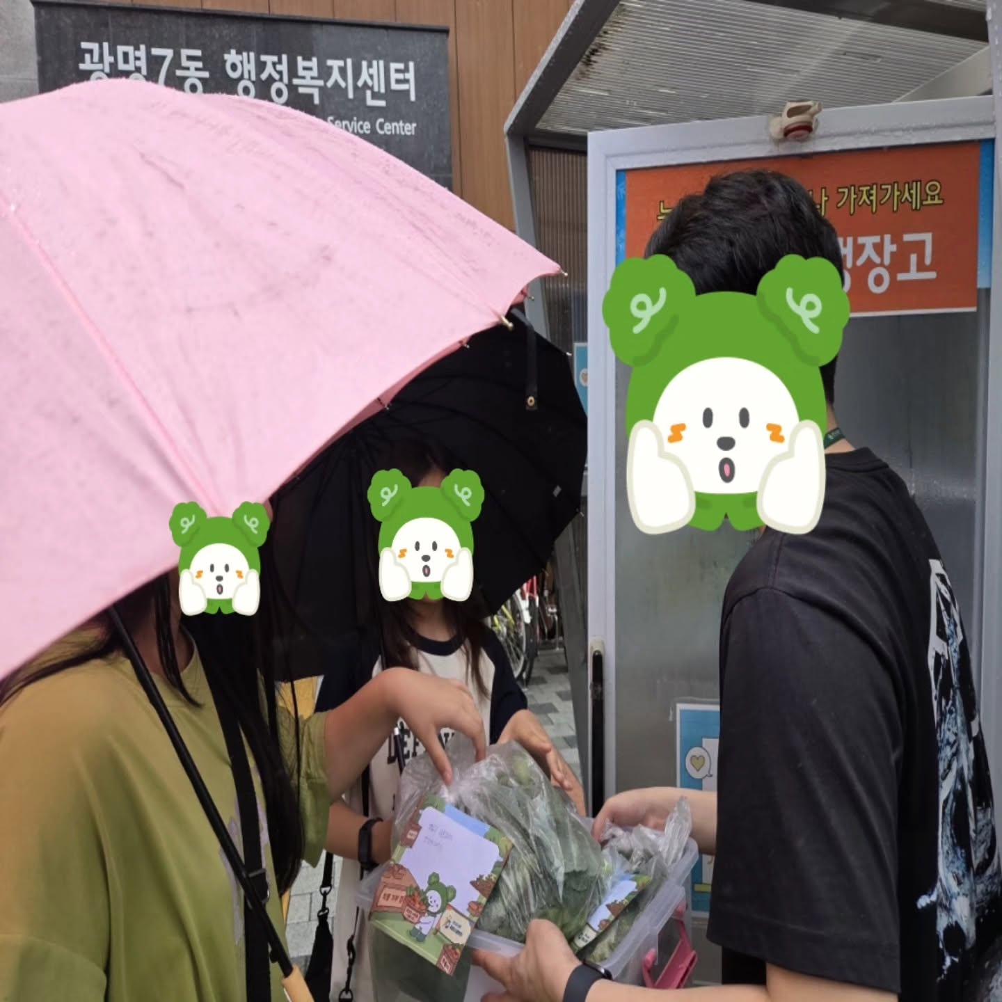 청소년 생태복원단 [꿀벌 5기] 6월 활동 이미지 5