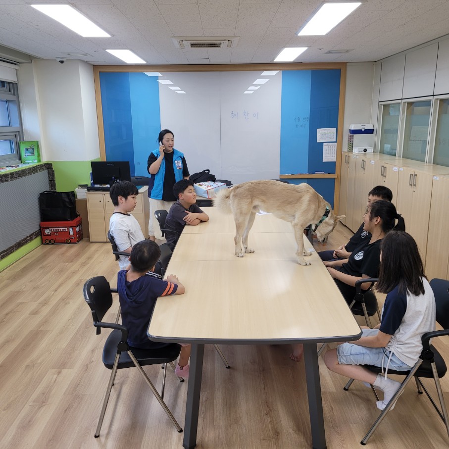 0902 광명시청소년수련관 방과후아카데미 동물교감 심리치유 [테라피독] 이미지