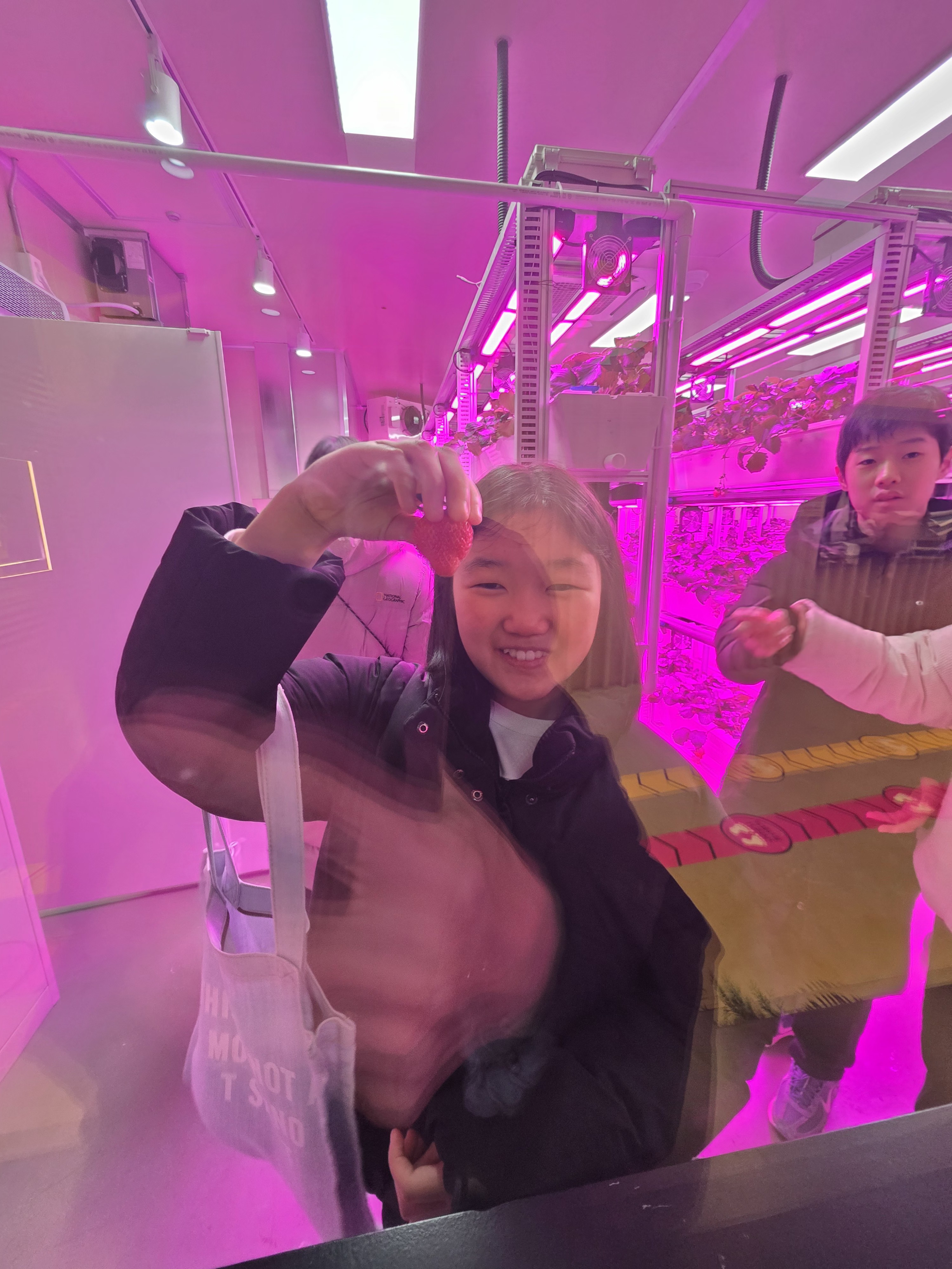 1223청소년방과후아카데미[수련관] 크리스마스데이 "딸기 따서 바로 먹쿡" 이미지 3