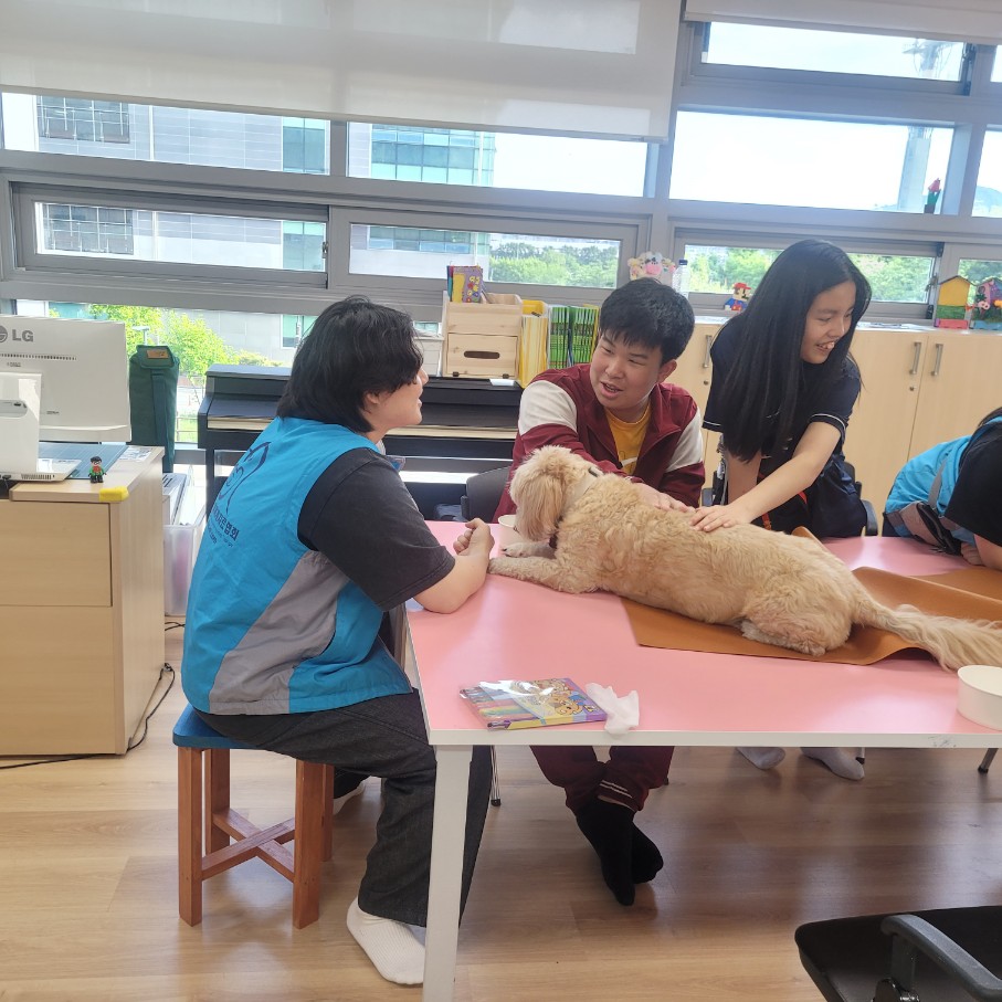 광명시청소년수련관 방과후아카데미 동물교감 심리치유  [테라피독] 이미지