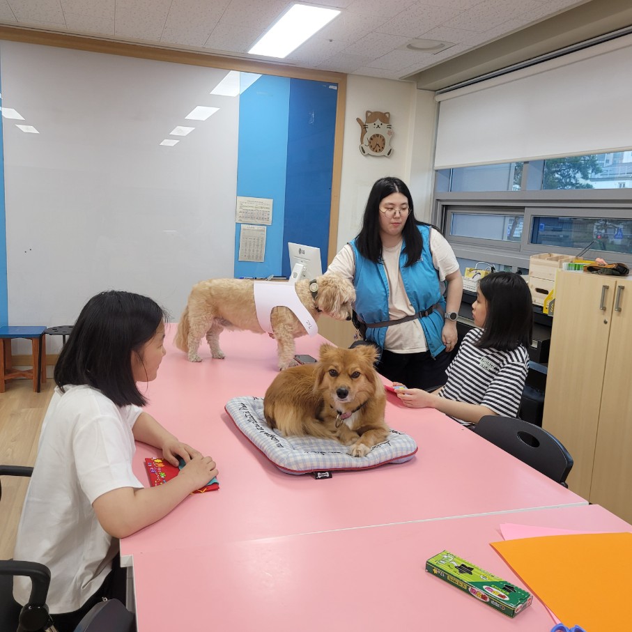 광명시청소년수련관 방과후아카데미 동물교감 심리치유  [테라피독] 이미지